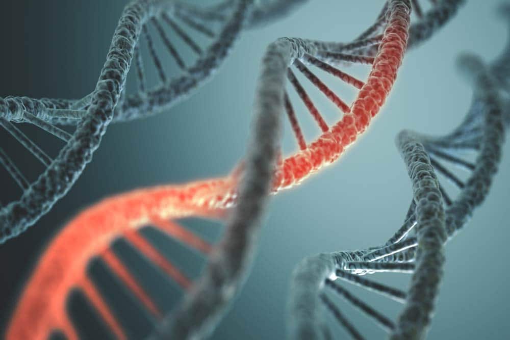 Do Genes Play a Role in Becoming an Addict?