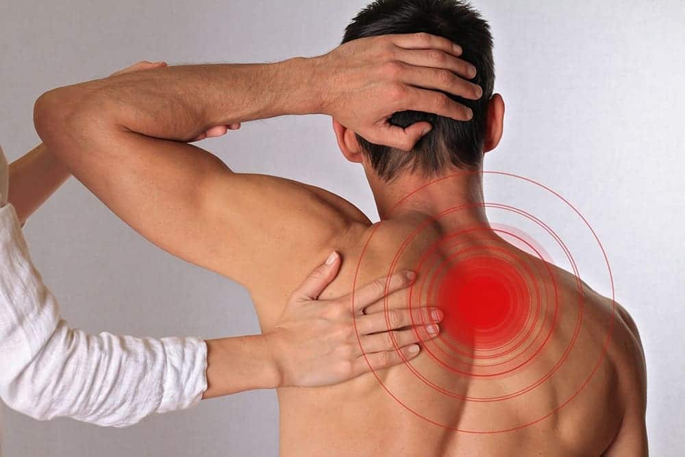 Why Are Opiates Effective Pain Relievers?