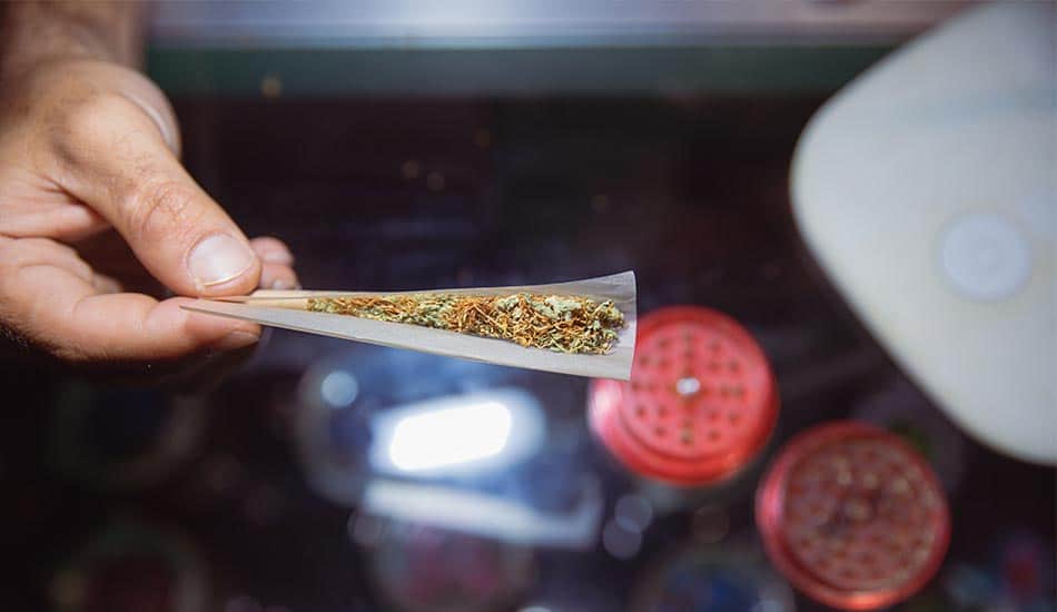 Marijuana