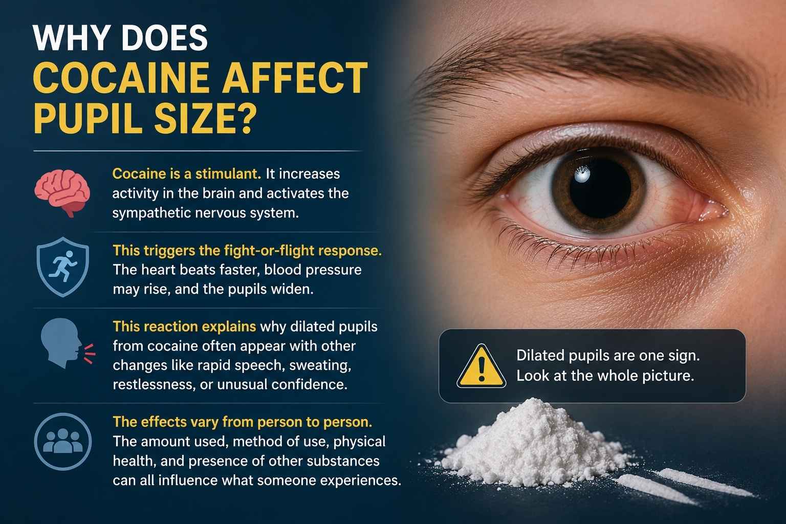 Does Cocaine Cause Dilated Pupils? Signs and Risks Explained 1 Why Does Cocaine Affect Pupil Size